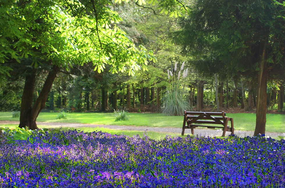 Bridges of Peace Retreat