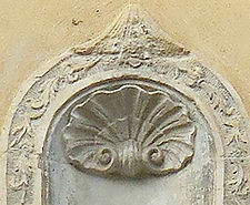 Coquille Teinturiers.jpg