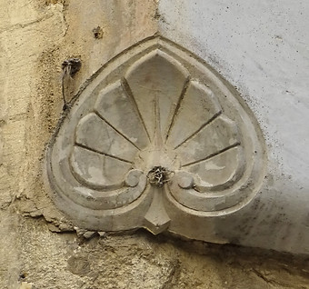 Coquille Pl Change.jpg