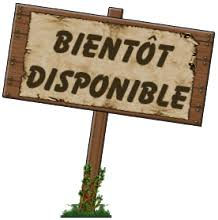 Bientôt_disponible.jpeg