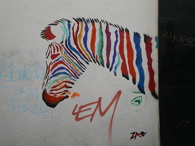 0804-Zebre.jpeg
