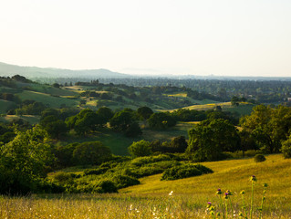 Price of Northern California ranch, almost the size of San Francisco, Now Reduced by $6 Million