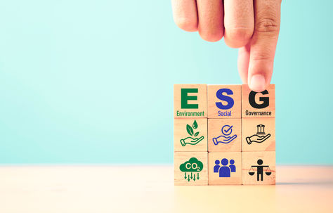 Future Proofing Insurance: Integrating ESG into Strategic Decision-making