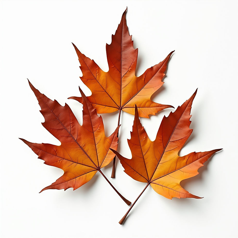 Autumn Harvest Leaves