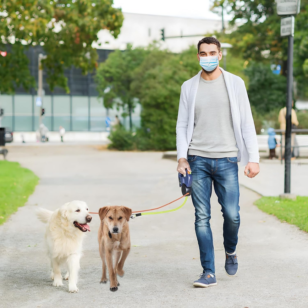 Miniatura: Dual Pet Leash Retractable Reflective Lead 360 Swivel Double Dog Walking Leash