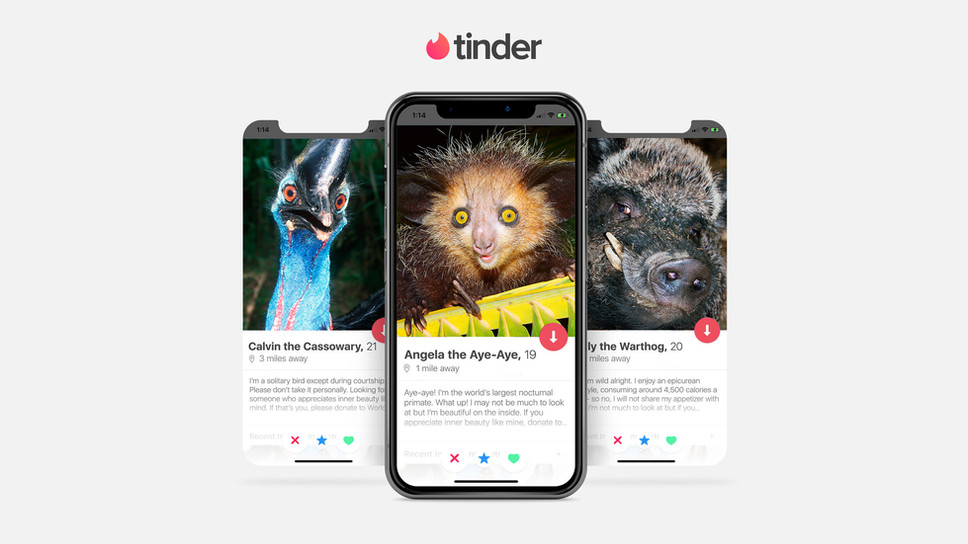 We made Tinder profiles for our ugly animals.