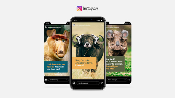 We put filters on our ugly animals on Instagram, turning them into cuter ones like cows and mice.