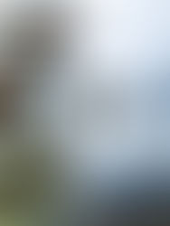 Shadow 依着節氣過生活 — 寒露