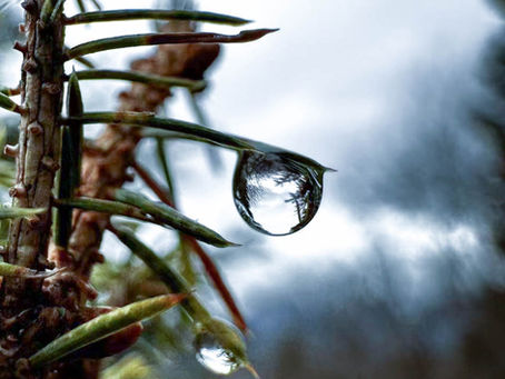 Shadow 依着節氣過生活 — 寒露