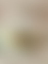 漣漪節氣曆 — 穀雨 我的桌上園林與一杯「靜庭」