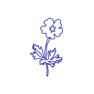 gif-fleur-logo-transparent.gif