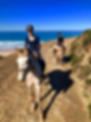fullsizeoutput_11a5.jpeg