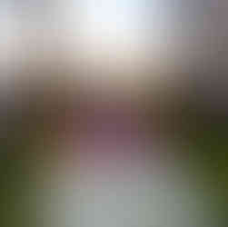 Casa de la Laguna: el gran escenario natural para eventos monumentales en Acapulco