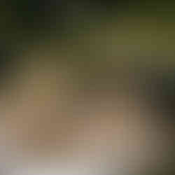 Casa de la Laguna: el gran escenario natural para eventos monumentales en Acapulco