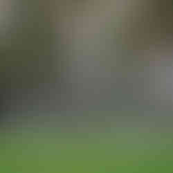 Casa de la Laguna: el gran escenario natural para eventos monumentales en Acapulco