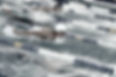 N00_1210_edited_edited_edited.jpg