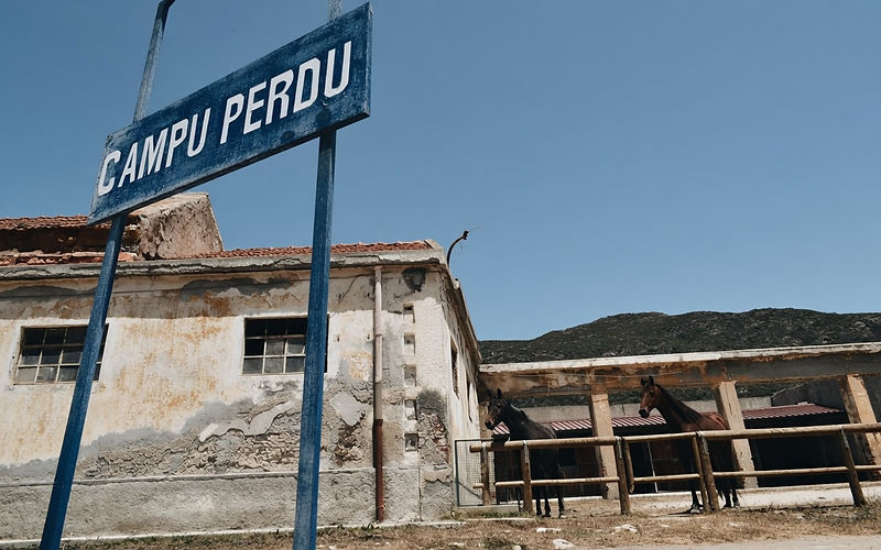 campu perdu asinara.jpg