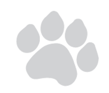 litepawprint-03.png