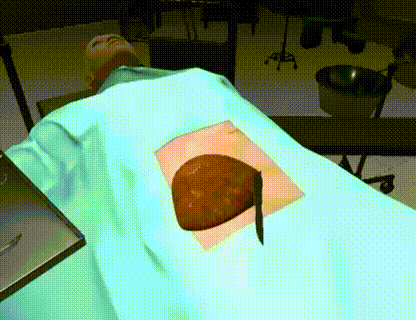livercut.gif