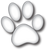 pngwing.com (1).png