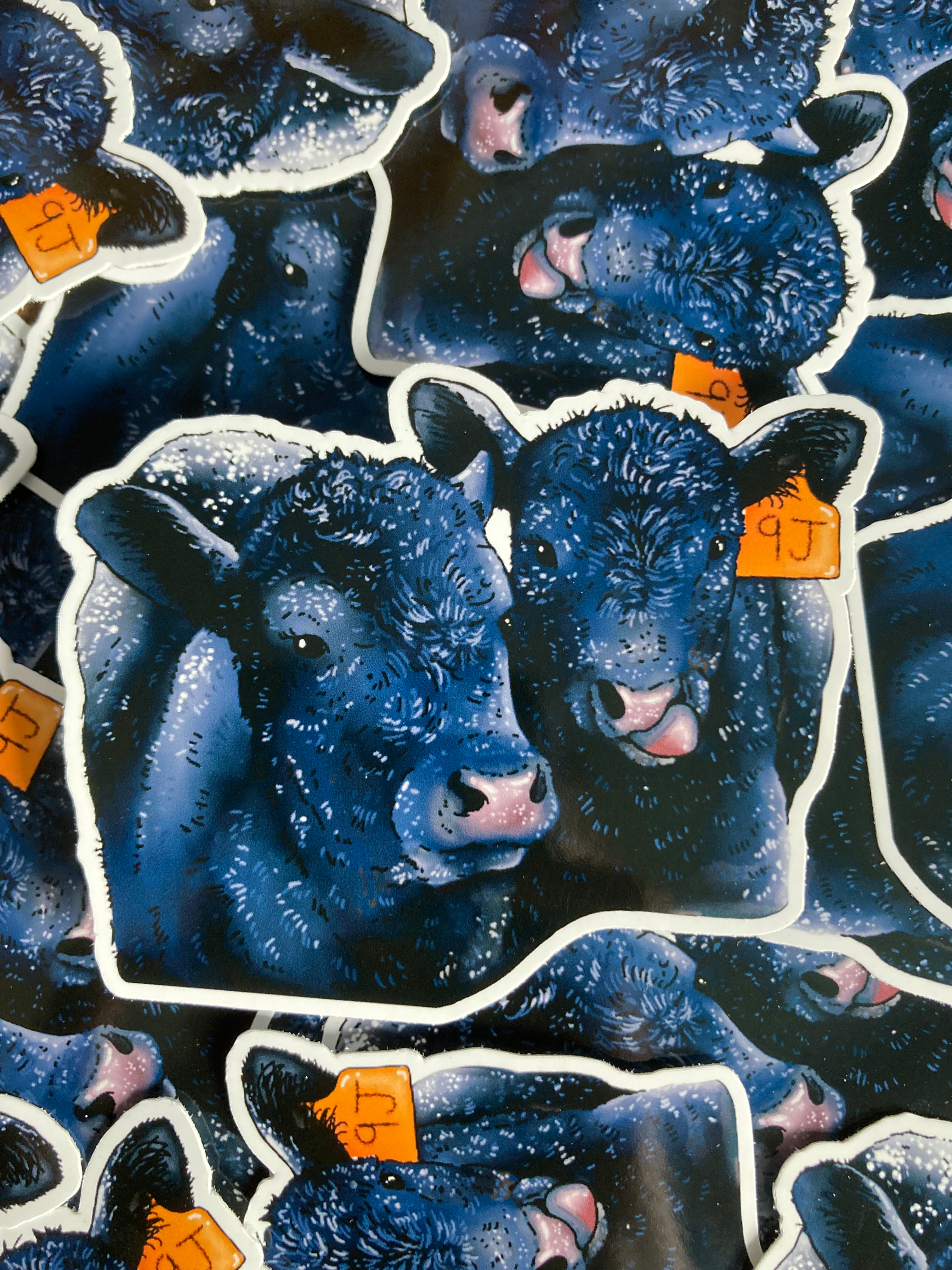 “Snow Day” Angus Calf Sticker