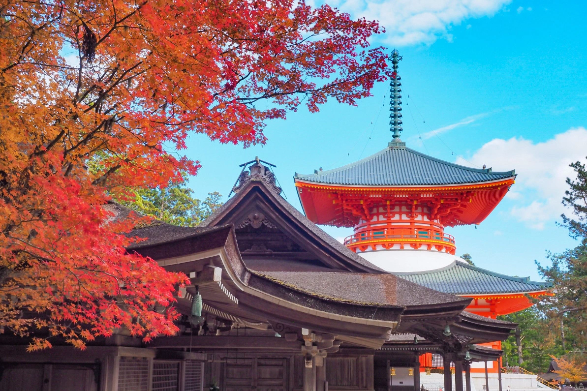 高野山・吉野・伊勢 巡礼の旅