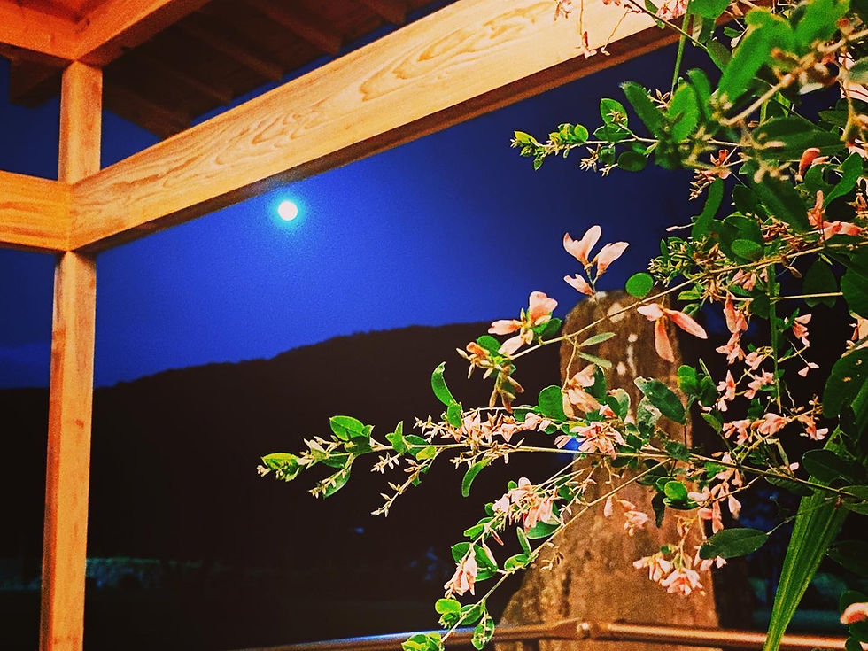 極楽寺 名残の茶会 ～実りの秋を迎えて～