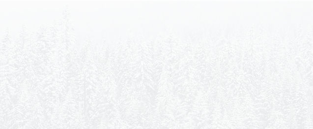 skog01.jpg