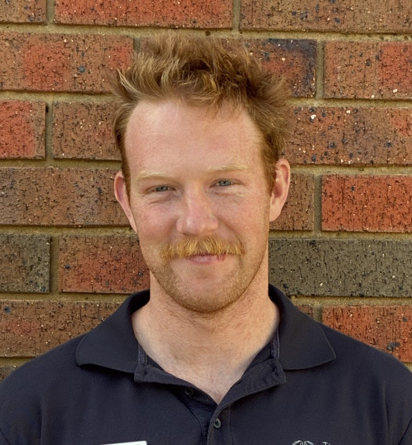 Harry Ryan