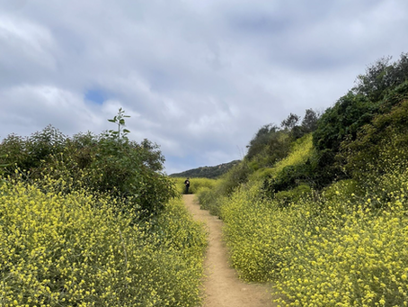 6|4: Los Leones Trail w/ Janelle DeWitt