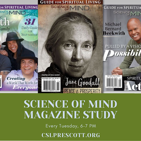 CSLP SoM Magazine Study (3).png