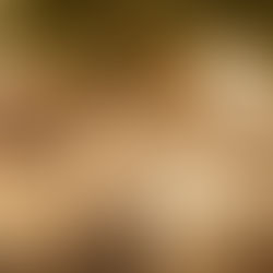 Advento ~ Dia 7: Descendente de Davi