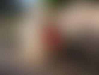 人道救援為烏克蘭物資運送盡一份力