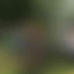 półkolonie - Piaseczno Józefosław