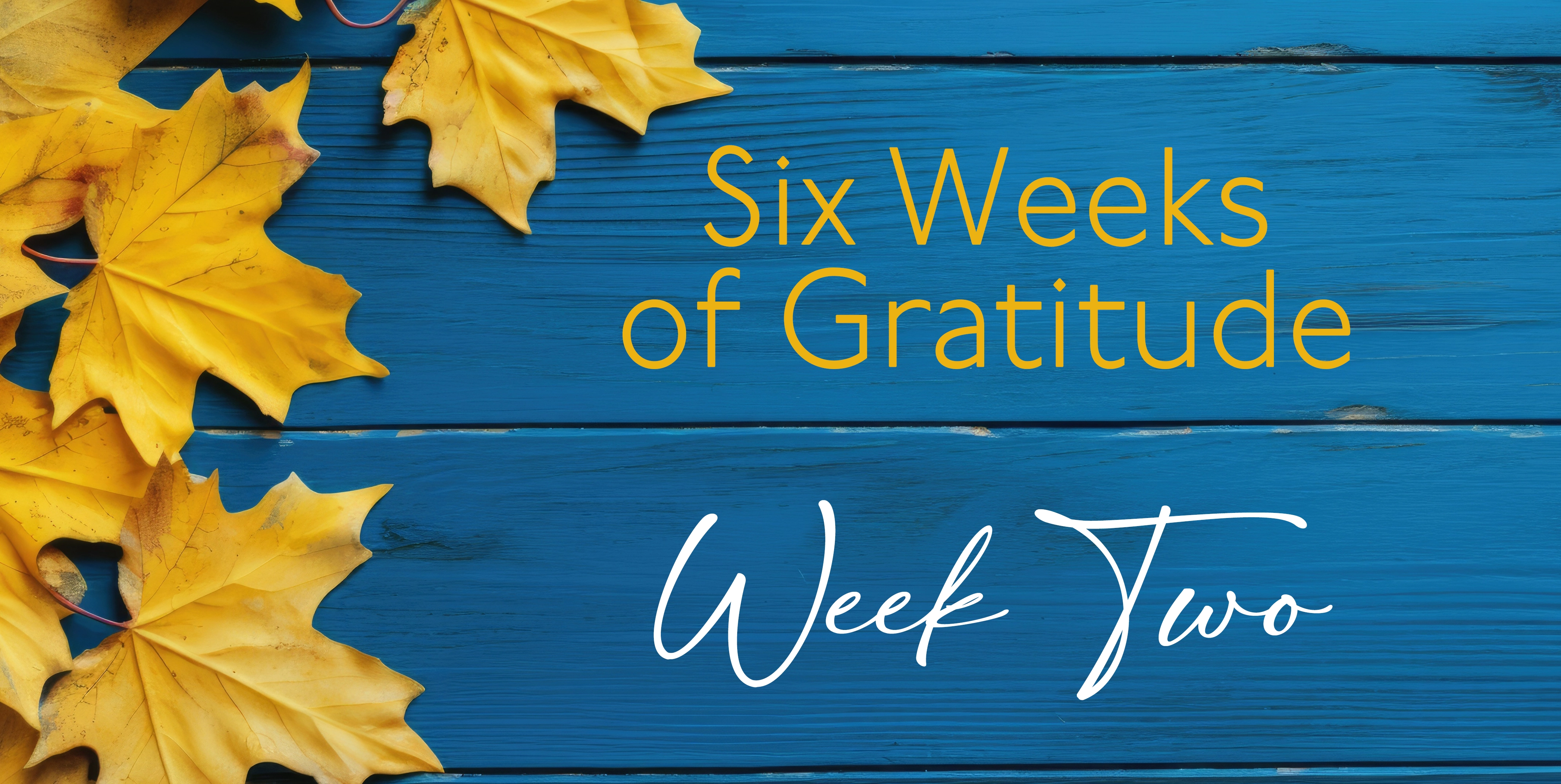 week2_Long.webp