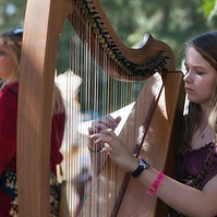 celtic folk.jpg