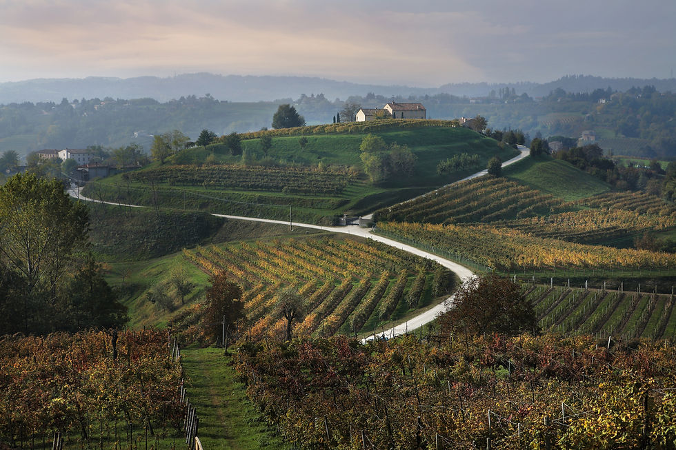 vision siretessile.jpg