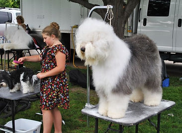DogShow-GDT-081719-11.jpeg