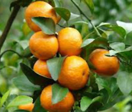 images-3.jpg