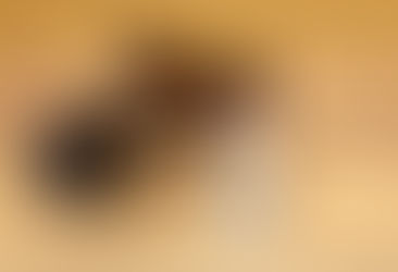 根本真澄リベンジの狂乱