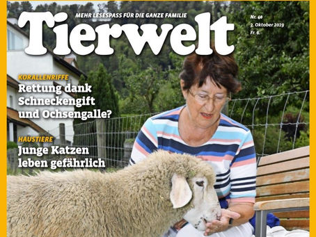 Tierwelt: «Gefährten, die Emotionen wecken»