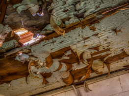 09292021_105303_EM1X_1_01272-Edit.jpg