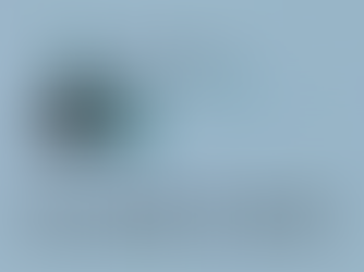 Nieuwsbrief november 2025