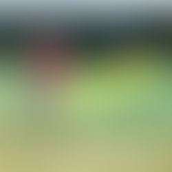 ベッキーコーチのMORE🎾FUN