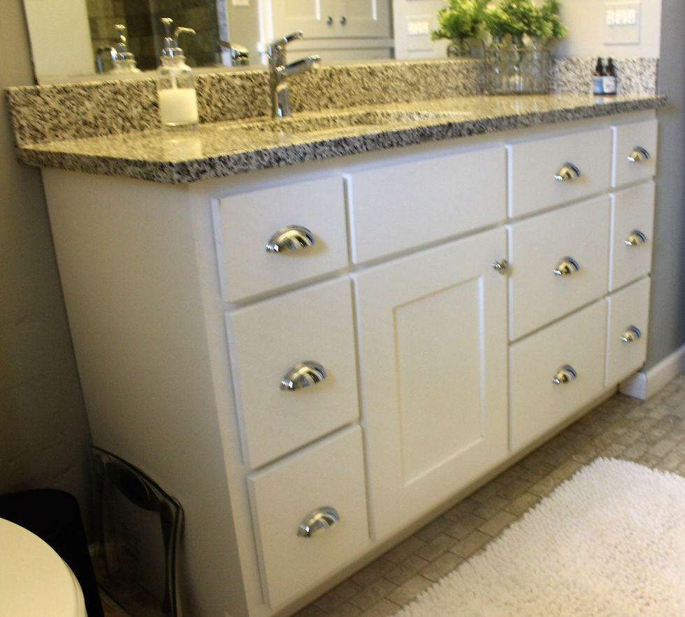 Shaker Style Painted
