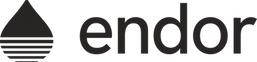 Endor Logo Large (002).png