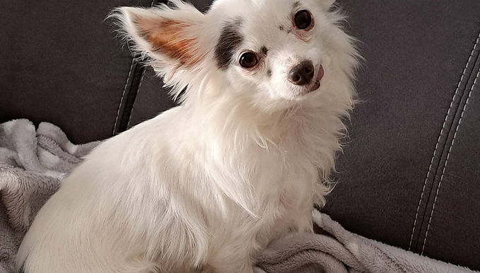 Bébé (reservé)