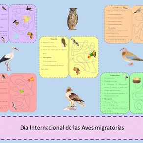 🦩Aves Migratorias🦅