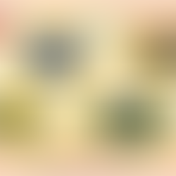 Juego del reciclaje🗑