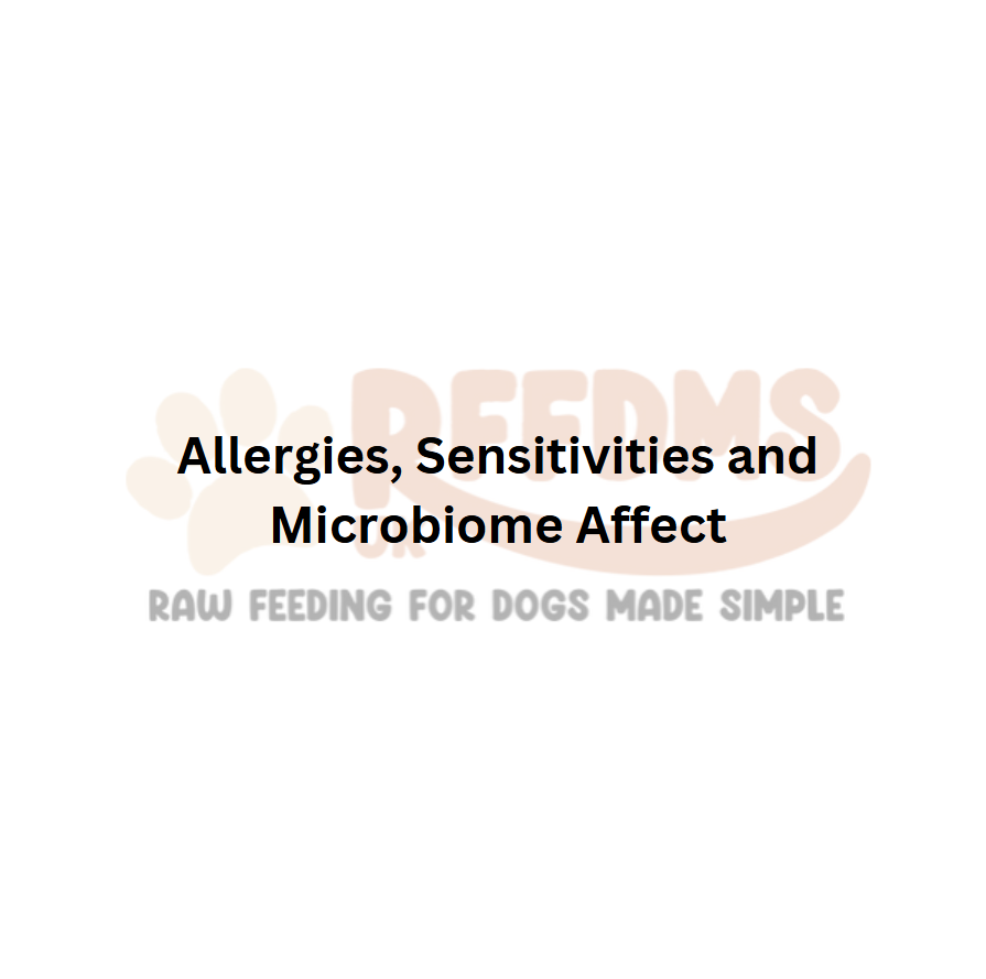 Allergy Testing for Raw-Fed Dogs